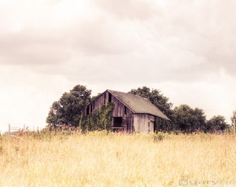 Little Old Barn in a Field, Minimalist, Rustic Landscape Photography, Soft Creamy Color, Farm and Country Decor