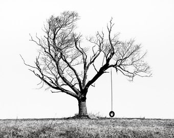 May include: A black and white photograph of a bare tree with a tire swing hanging from a branch. The tree is silhouetted against a white background.
