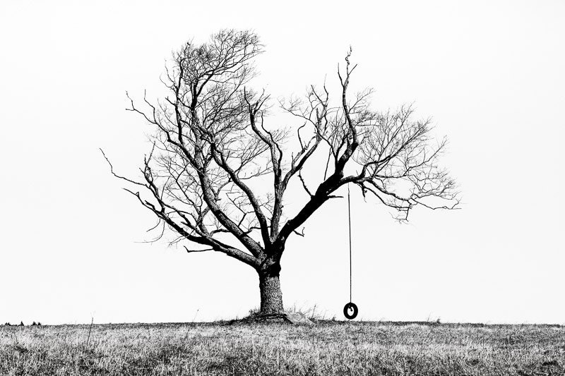 the playmate winter tree