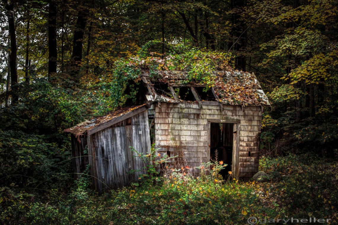 Rustic Old Abandoned Shack in the Woods During the Autumn Season. Vibrant Color and a Spooky ...