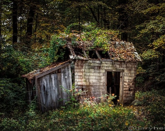 Rustic Old abandoned shack in the woods during the autumn season. Vibrant color and a spooky mysterious scene.