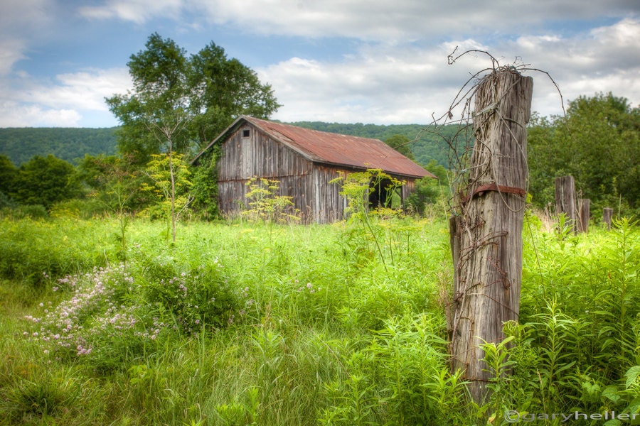 Old Barns and Farms