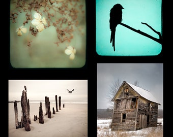 Print Set SPECIAL- Any four 5x7 or 5x5 prints, signed and dated.