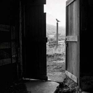Old Barn Doors View From Within, Black and White Fine Art Photography Print, Rustic, Haunting Image, signed.