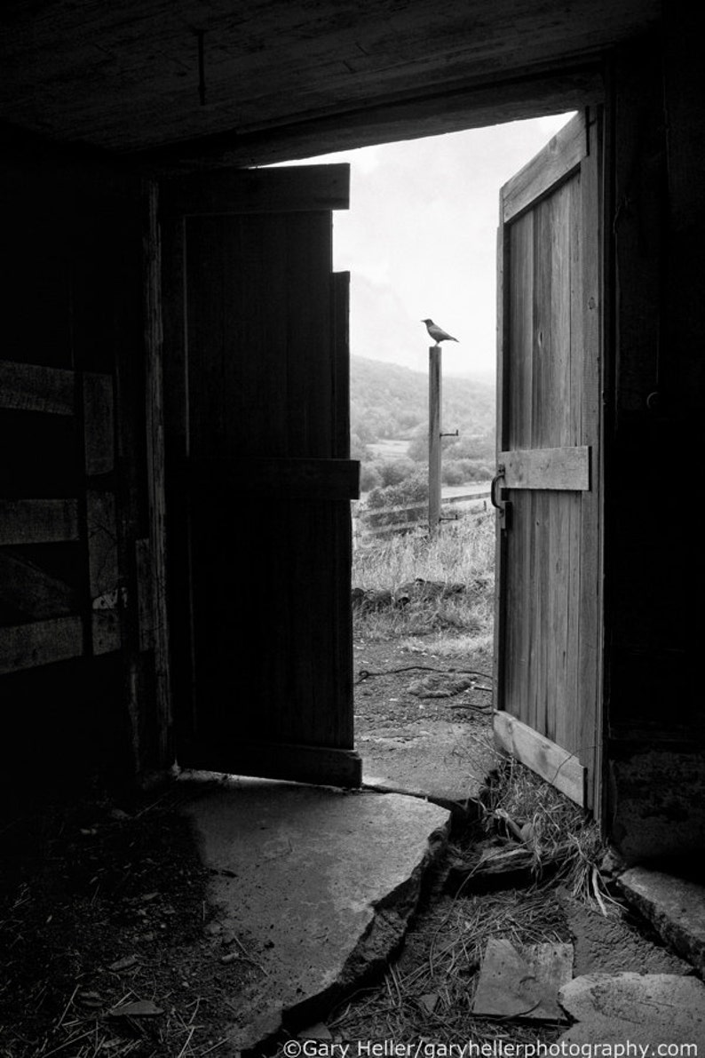 Old Barn Doors View From Within, Black and White Fine Art Photography Print, Rustic, Haunting Image, signed. image 1