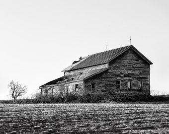 Farmhouse in the Spring, Black & White Photography, Barn, Rustic Buildings, Tree, Fine Art Signed Print