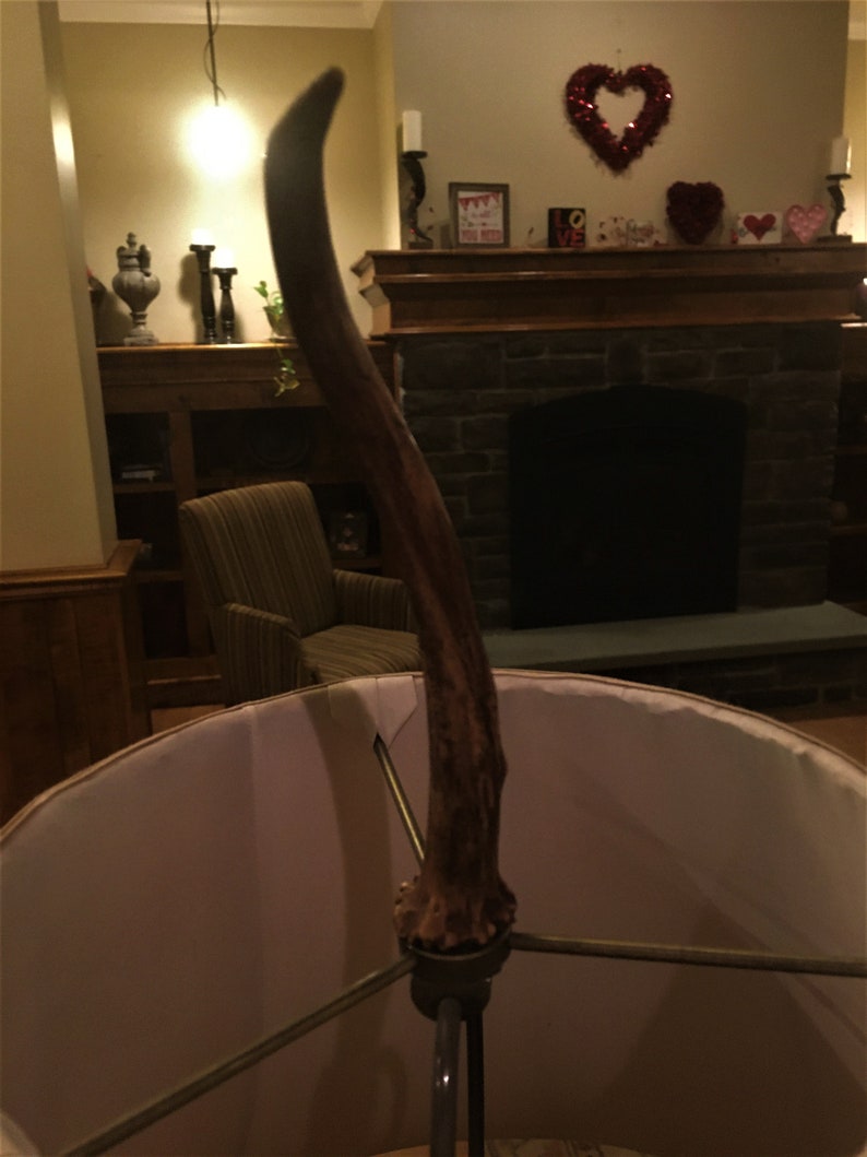Whitetail Antler Lamp Finial Spike Shed Lámparas e Etsy España