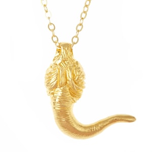 Bull&#39;s Horn Necklace