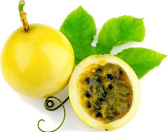 Sunrise Passionfruit (Live Plant)