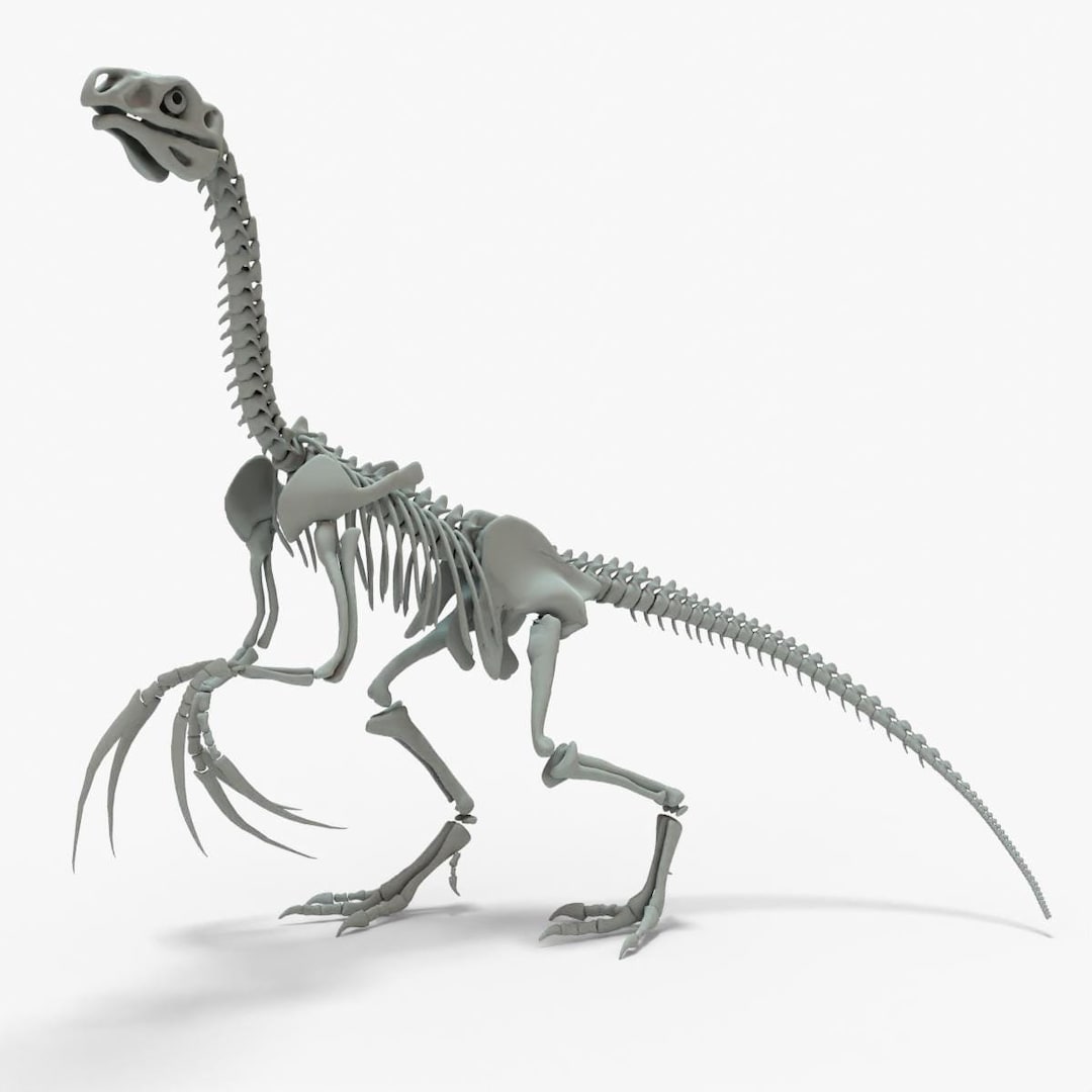 Therizinosaurus Rigged Skeleton 3D Model Etsy therizinosaurus-rigged-skeleton-3d-model-etsy