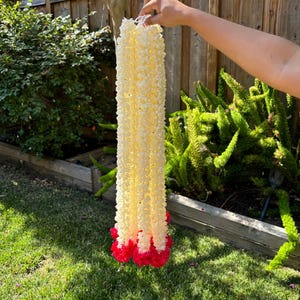 May include: A white flower garland with red flowers at the bottom. The garland is made of small, white flowers that are strung together.