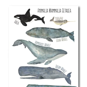 Whale Painting, Poster size, 24x36, A1 Nautical, Whale Nursery, Beach Decor, Whale Art, Whale Print, Limited Edition, Original Version