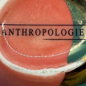 Puede incluir: Primer plano de un objeto decorativo con una superficie de color coral y un borde blanco. La palabra "ANTHROPOLOGIE" est&aacute; impresa en negro en el objeto. El fondo presenta detalles en verde azulado y dorado.