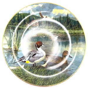 May include: Decorative plate featuring a serene lakeside scene with two ducks, lush greenery, and a distant house. The plate has a gold rim and a detailed painting of the natural environment. The plate is signed by Jerner.