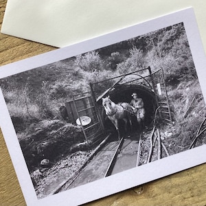 May include: A black and white photograph of a horse pulling a cart into a mine shaft. A man is sitting on the cart, holding the reins. The mine shaft is dark and the entrance is framed by a metal gate.