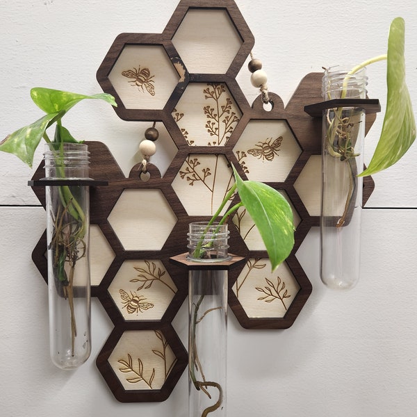 Hexagon plant propagation station, bud vase * air plant * engraved bee and wildflower backer * DIGITAL FILE*  svg * dxf glowforge