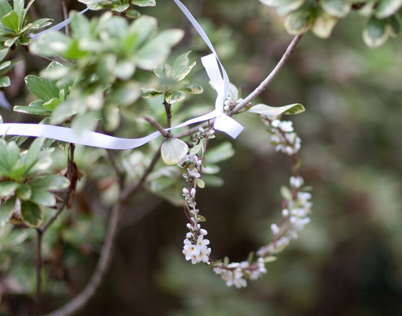 first communion flower crown first communion headpiece white image 6