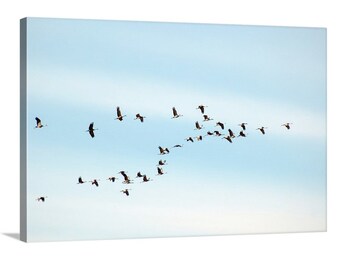 Bird Decor for Home with Sandhill Crane Flock of Birds in Flight in Pastel Blue