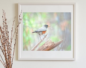 Restful Nature Decor for Home with American Red Robin Bird