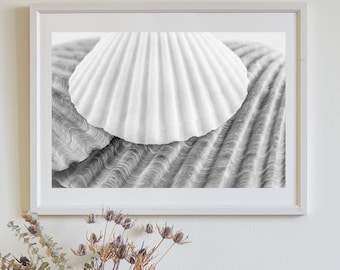 Seashells Wall Decor for Bathroom in Black and White