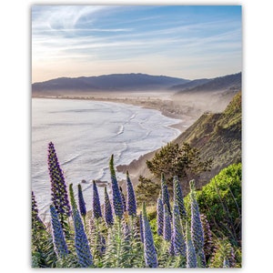 Stinson Beach Northern California Art Print in Marin County