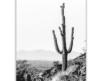 Black and White Cactus Print: Arizona Desert Photography, Southwestern Decor