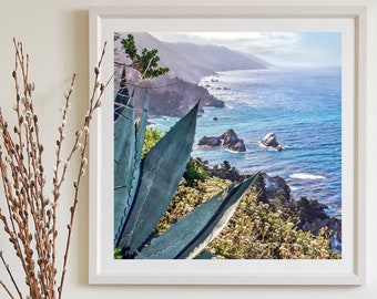 Big Sur California Coast Photography Print with Blue Agave as Home Decor Gift Art