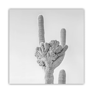 Crested Saguaro Cactus Black and White Art Print in Tucson Arizona Desert