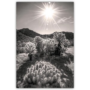 Sonoran Wüste Sonnenaufgang Kunstdruck: Sepia Kaktus Landschaftsfotografie