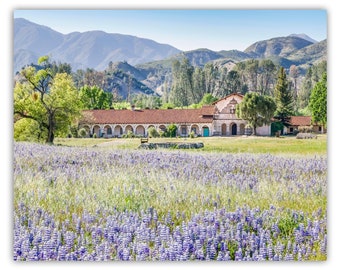 Lompoc California Mission at San Antonio de Padua | Spring Landscape Photography