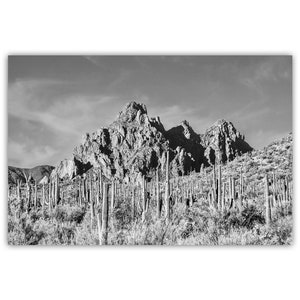 Arizona Desert Landscape Art Print in Black and White with Saguaro Cactus