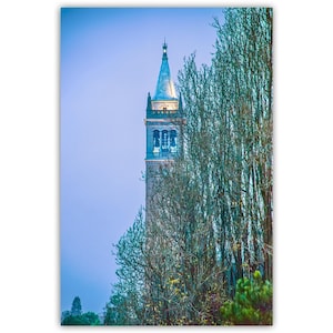 Cal Berkeley The Campanile University of California Art Print | Sather Tower Wall Art Decor for Home or Office