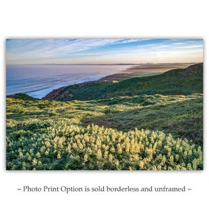 Point Reyes Seascape Art Print: Lupine Wildflowers, California Coast
