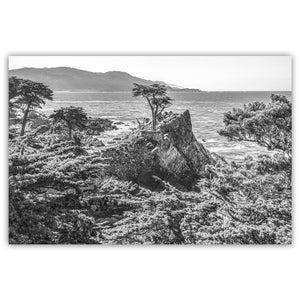 Lone Cypress Art Print: Pebble Beach Seascape, Black and White
