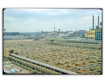 Chicago Union Stockyards Mid Century Vintage Home Decor Wall Art