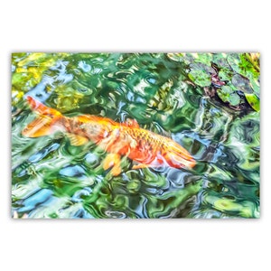 Könnte beinhalten: Ein orange-gelber Koi-Fisch schwimmt in einem Teich mit grünem und blauem Wasser. Die Wasseroberfläche reflektiert das Licht und erzeugt einen wellenförmigen Effekt. Seerosen sind in der oberen rechten Ecke zu sehen.