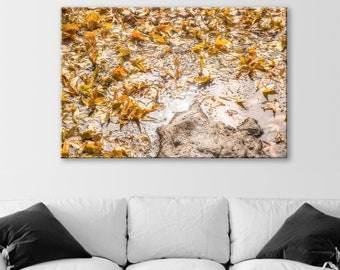 Autumn Leaf Nature Art with Wilderness Spring Water Reflections on Framed Canvas Print