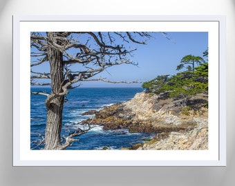 Monterey California Coast Landscape Photography for Home or Office