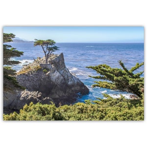 Carmel by the Sea Photograph: Lone Cypress Tree, California Coast Art