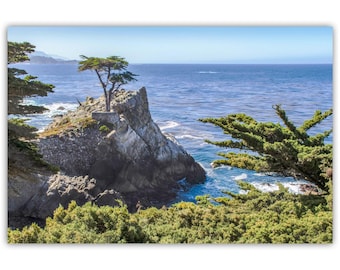Carmel by the Sea Photograph: Lone Cypress Tree, California Coast Art