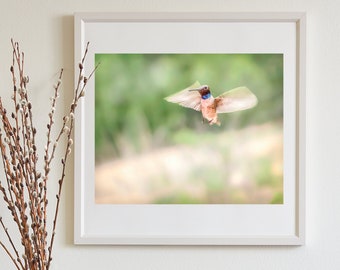 Spring Green Nature Print for Home with Hummingbird in Flight