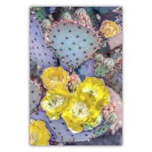 Santa Rita Prickly Pear Cactus Art: Arizona Desert Flowers Photography