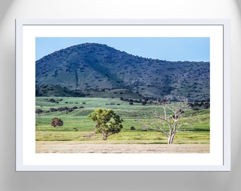 Wall Decor with Ranch Country Landscape at Arizona Mexico Border