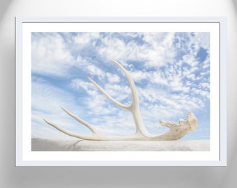 Fine Art Wall Print for Home with Surreal Deer Antler and Sky