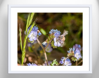 Nature Wall Decor for Home with Bee and Wildflower Spring Botanical Art