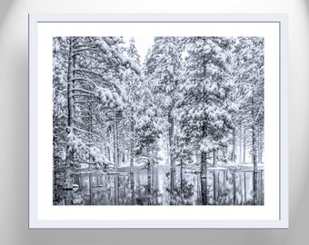 Winter Wall Decor with Snowy Forest Landscape and Water Bird