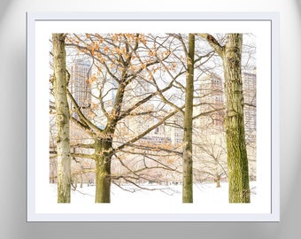 Central Park Winter Photograph as NYC Wall Decor for Home or Office