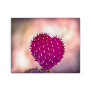 Purple Prickly Pear Cactus Heart Shape Photo – Santa Rita Mountains Desert Botanical Wall Art, Tucson Arizona Nature Photography Print