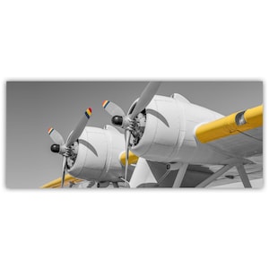 Pan Am Sea Plane Art Print: Vintage PBY Airplane Panorama