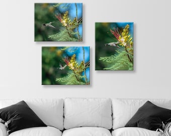 Living Room Art with Flying Hummingbirds Set of 3 Prints Gallery Wall Art Set